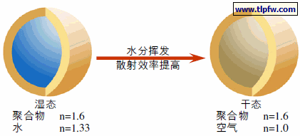 遮盖聚合物的遮盖原理