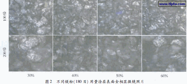 不同镁粉( 180 目) 用量涂层表面金相显微镜照片