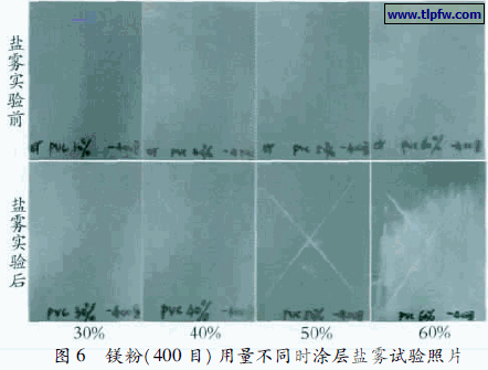 镁粉( 400 目) 用量不同时涂层盐雾试验照片