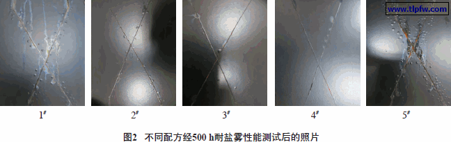 不同配方经500 h耐盐雾性能测试后的照片