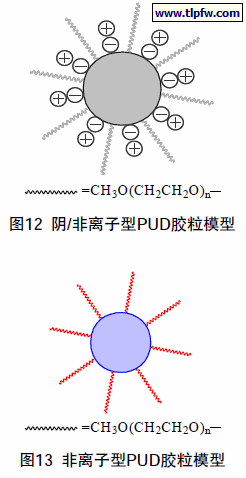 阴/非离子型PUD胶粒模型，非离子型PUD胶粒模型