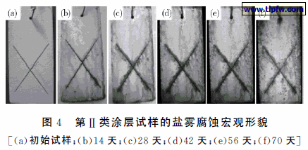 第Ⅱ类涂层试样的盐雾腐蚀宏观形貌