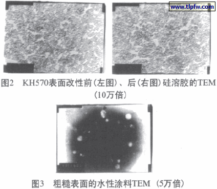 粗糙表面的水性涂料TEM