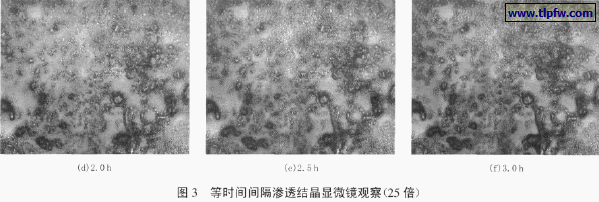 等时间间隔渗透结晶显微镜观察（25 倍)