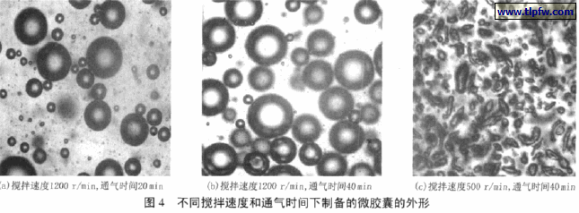 不同搅拌速度和通气时间下制备的微胶囊的外形