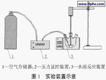 实验装置示意