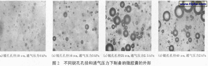 不同锐孔孔径和通气压力下制备的微胶囊的外形