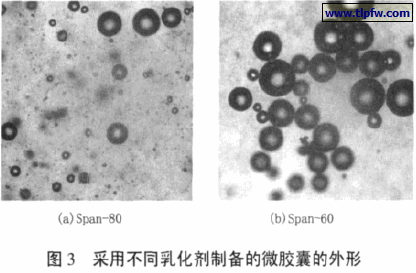 采用不同乳化剂制备的微胶囊的外形