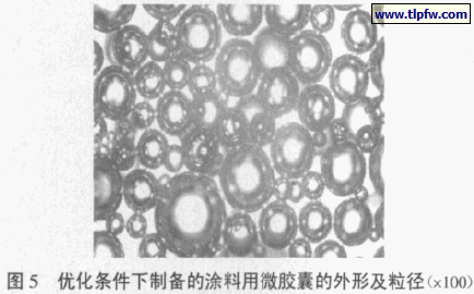 优化条件下制备的涂料用微胶囊的外形及粒径（×100）