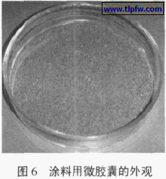 涂料用微胶囊的外观