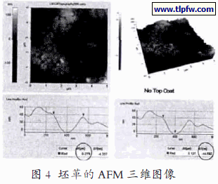 坯革的AFM 三维图像