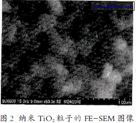 纳米TiO2粒子的FE-SEM 图像