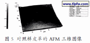 对照样皮革的AFM 三维图像