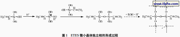 ETES 微小晶体独立相的形成过程