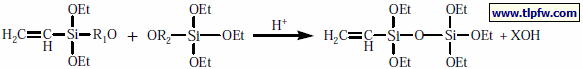 ETES 和TEOS及其水解产物彼此之间的缩合反应