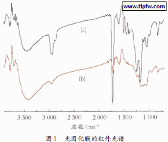 光固化膜的红外光谱