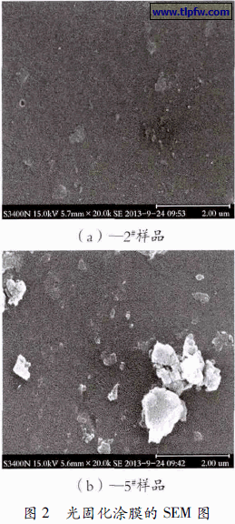 光固化涂膜的SEM 图