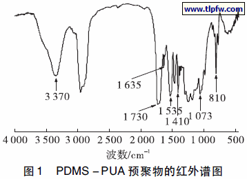 PDMS － PUA 预聚物的红外谱图