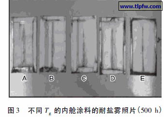 不同Tg 的内舱涂料的耐盐雾照片( 500 h)