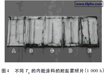 不同Tg 的内舱涂料的耐盐雾照片( 1 000 h)