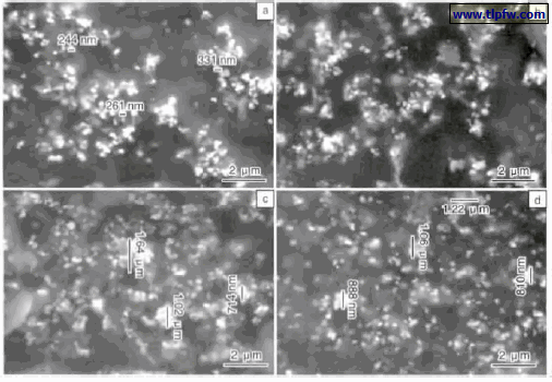 图6 色漆涂层的SEM 形貌: ( a) 添加1% 纳米SiO2 ，( b) 添加3% 纳米SiO2 ，( c) 添加5% 纳米SiO2 ，( d) 添加10% 纳米SiO2