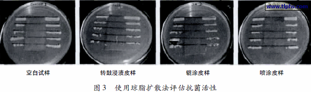 使用琼脂扩散法评估抗菌活性