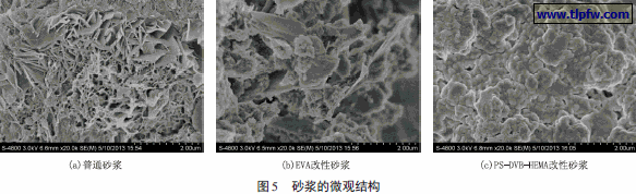 砂浆的微观结构