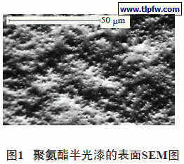 聚氨酯半光漆的表面SEM图