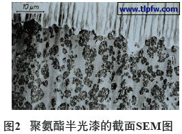 聚氨酯半光漆的截面SEM图