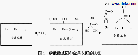 磷酸酯基团和金属表面的机理