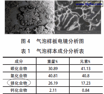 气泡样板电镜分析图;气泡样本成分分析表
