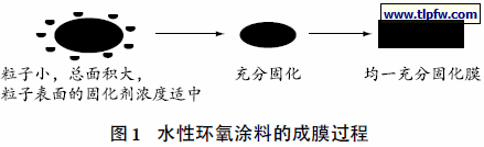 水性环氧涂料的成膜过程