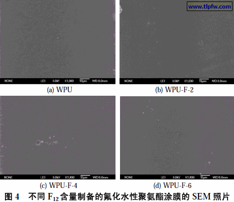 不同F12 含量制备的氟化水性聚氨酯涂膜的SEM 照片