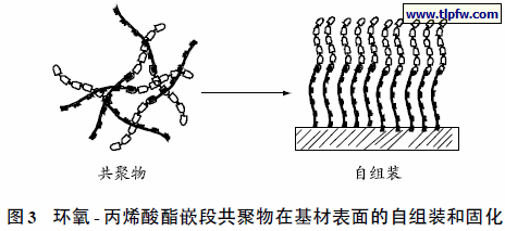 环氧- 丙烯酸酯嵌段共聚物在基材表面的自组装和固化