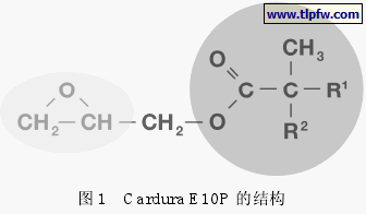 Cardura E10P 的结构