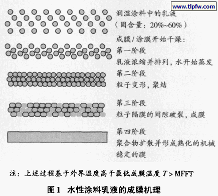 水性涂料乳液的成膜机理