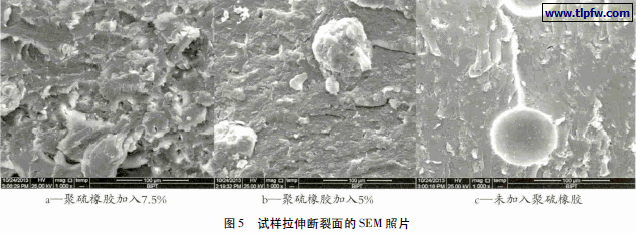 试样拉伸断裂面的SEM 照片