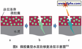 微胶囊型水泥自修复涂层示意图[