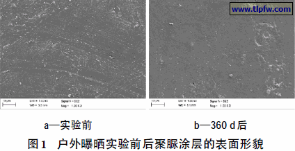 户外曝晒实验前后聚脲涂层的表面形貌