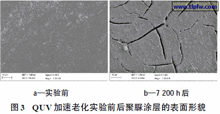 QUV 加速老化实验前后聚脲涂层的表面形貌