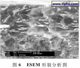 ＥＳＥＭ 形貌分析图