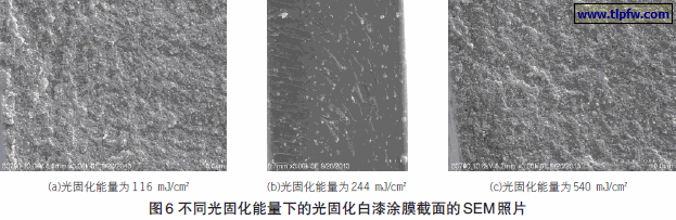 不同光固化能量下的光固化白漆涂膜截面的SEM 照片