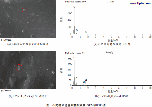 不同纳米含量聚氨酯涂层FSEM和EDS图