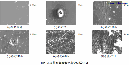 未改性聚氨酯紫外老化试样SEM