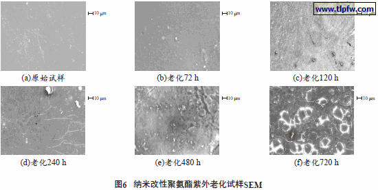 纳米改性聚氨酯紫外老化试样SEM