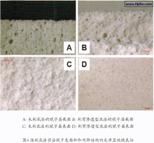 涂刷底漆前后腻子表面和内部结构的光学显微表征