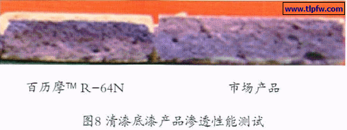 清漆底漆的渗透性能测试