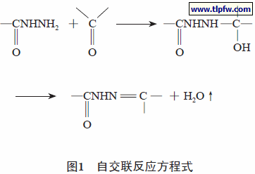 自交联反应方程式