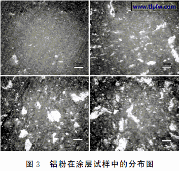 铝粉在涂层试样中的分布图