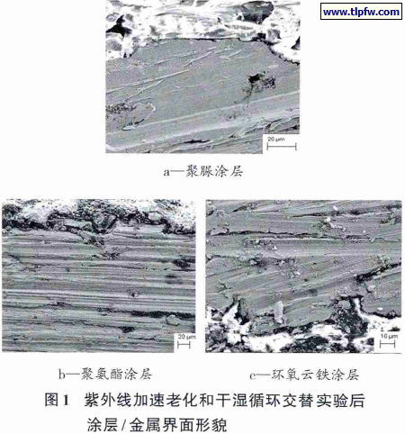 紫外线加速老化和干湿循环交替实验后 涂层 / 金属界面形貌